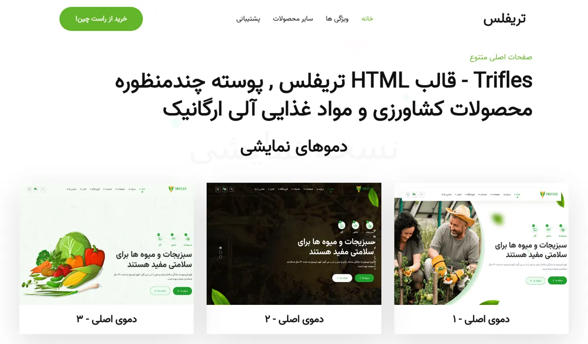 نمای صفحهی اصلی دموی Trifles